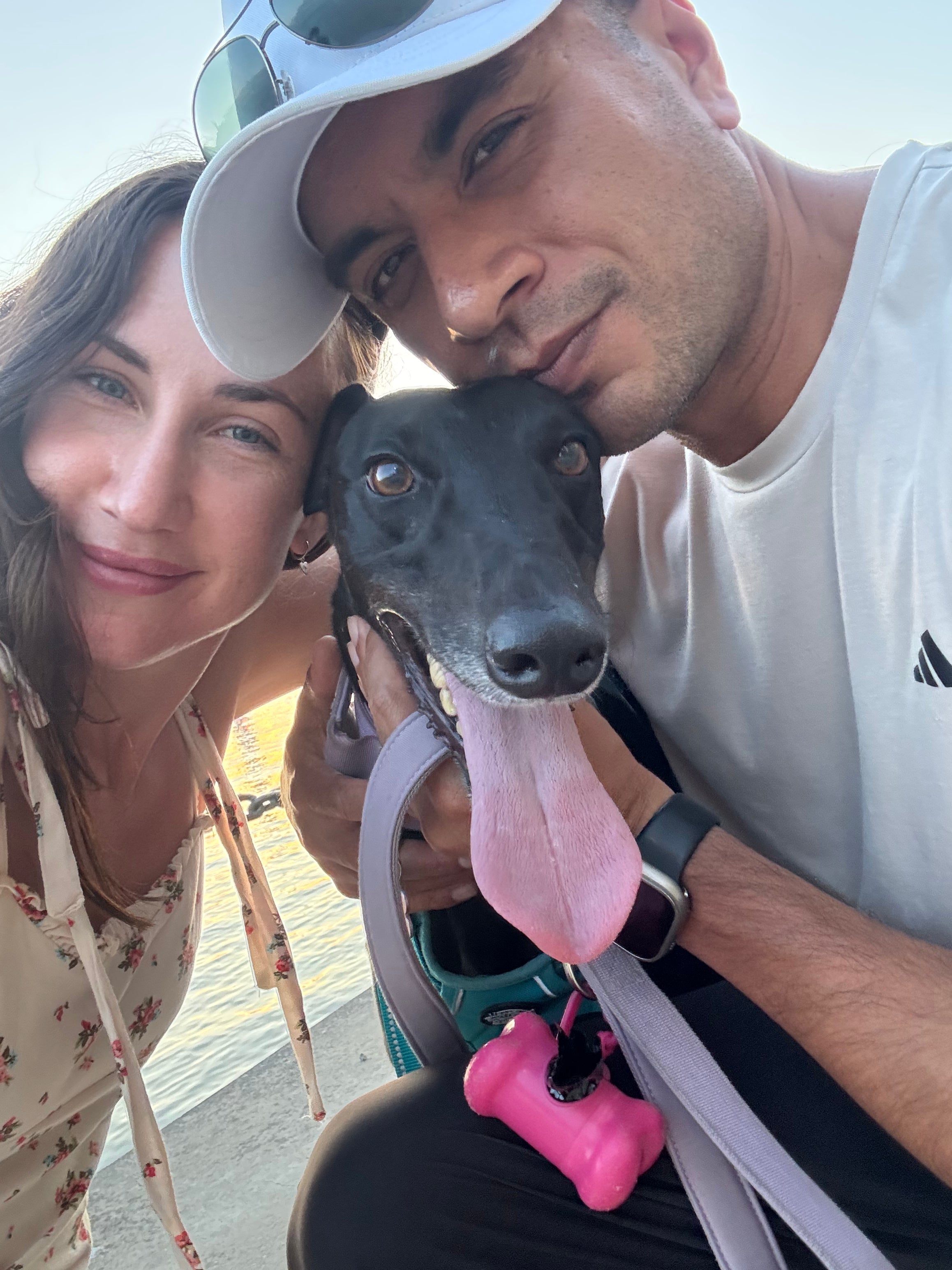Why Greyhound Rescue Advocacy Matters — and How Our Greyhound Rescue Necklace Helps Every Noodle Horse Find a Home