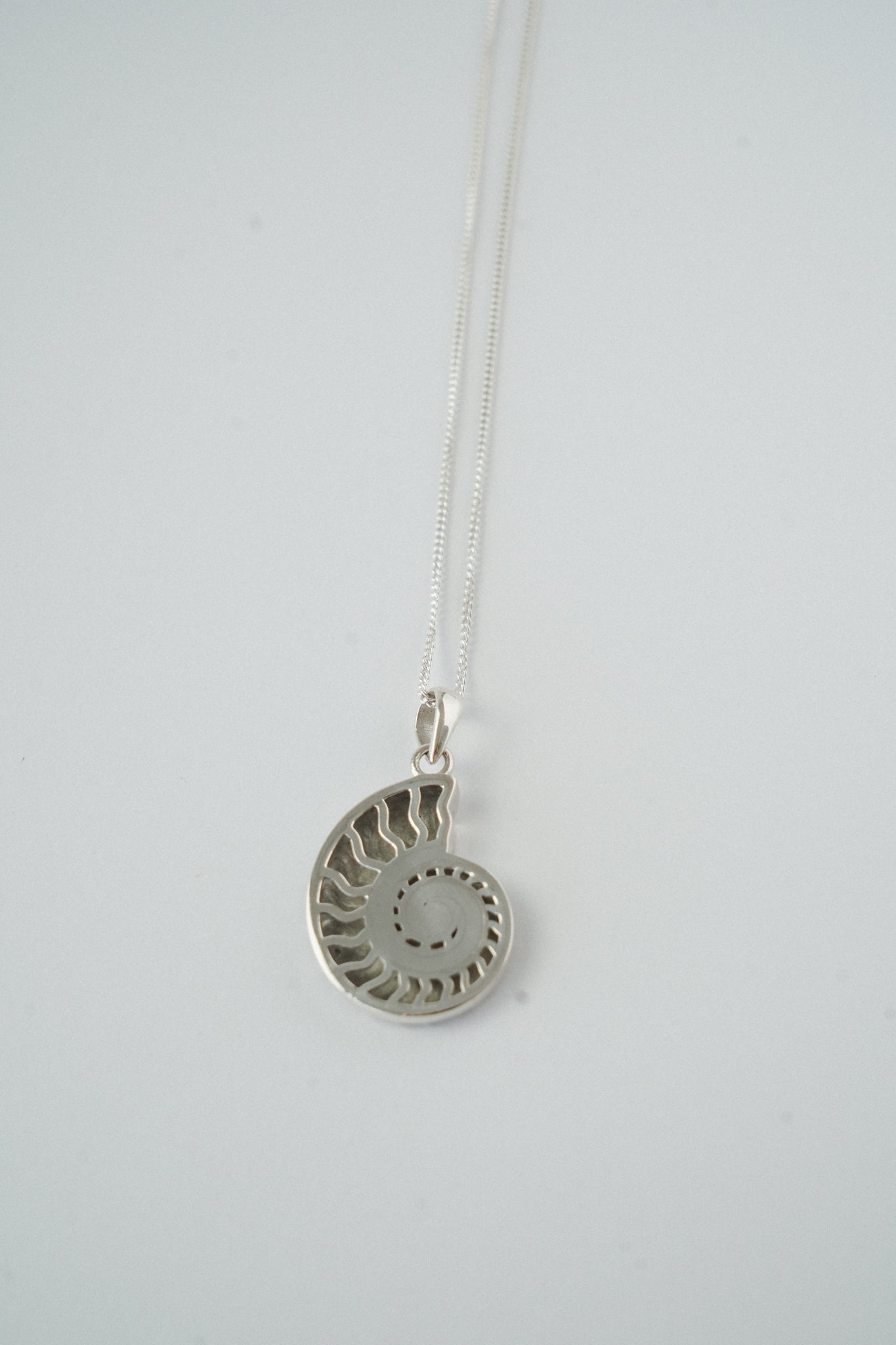 Maraux Premium Nautilus Shell Necklace