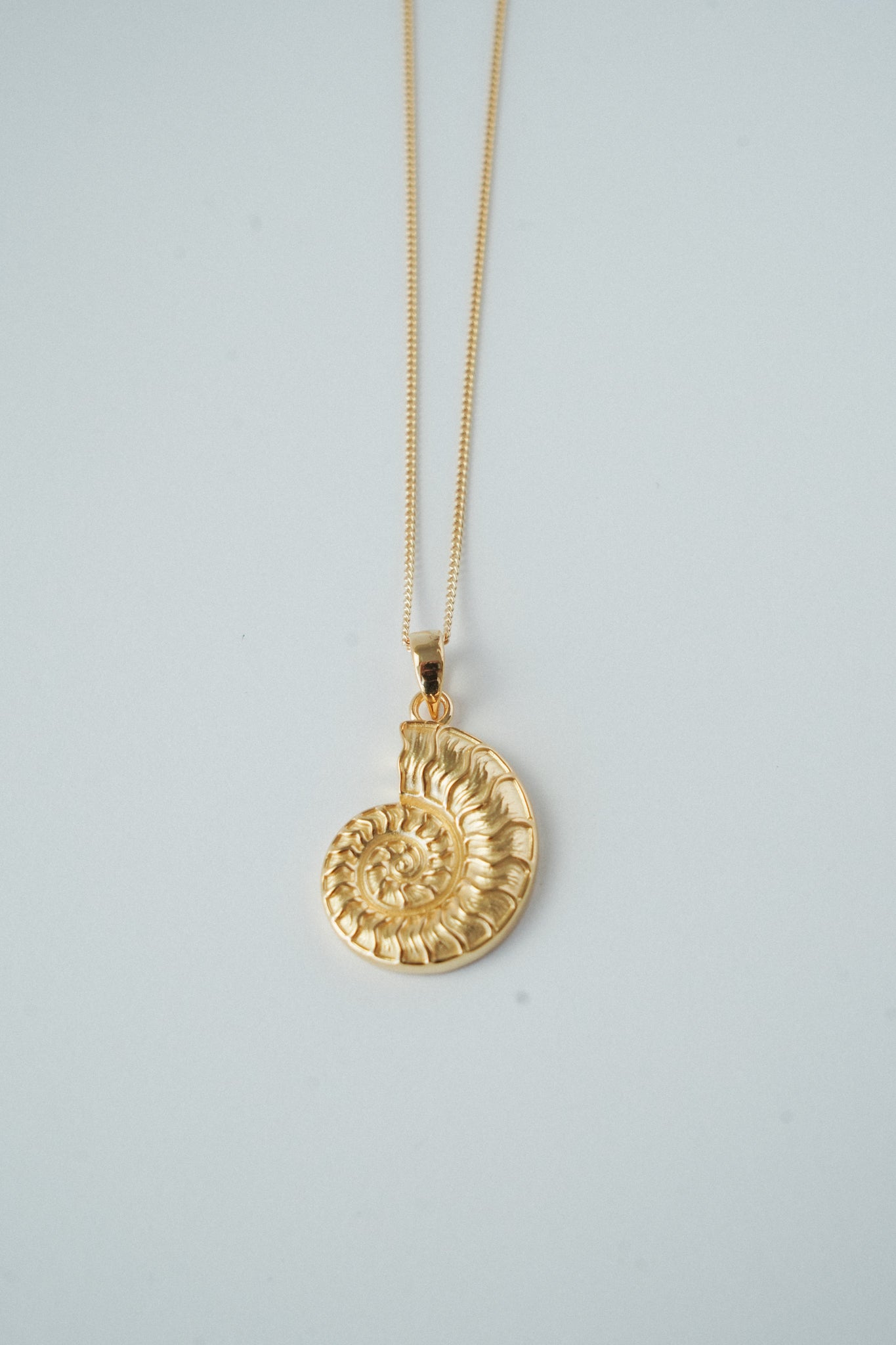 Maraux Premium Nautilus Shell Necklace