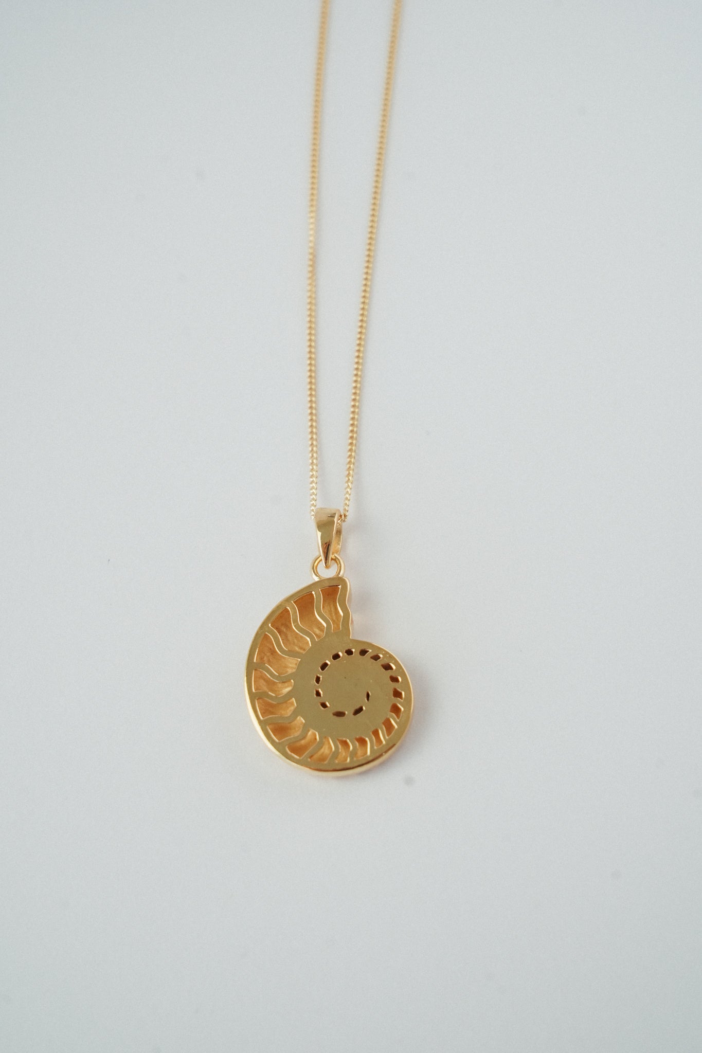 Maraux Premium Nautilus Shell Necklace