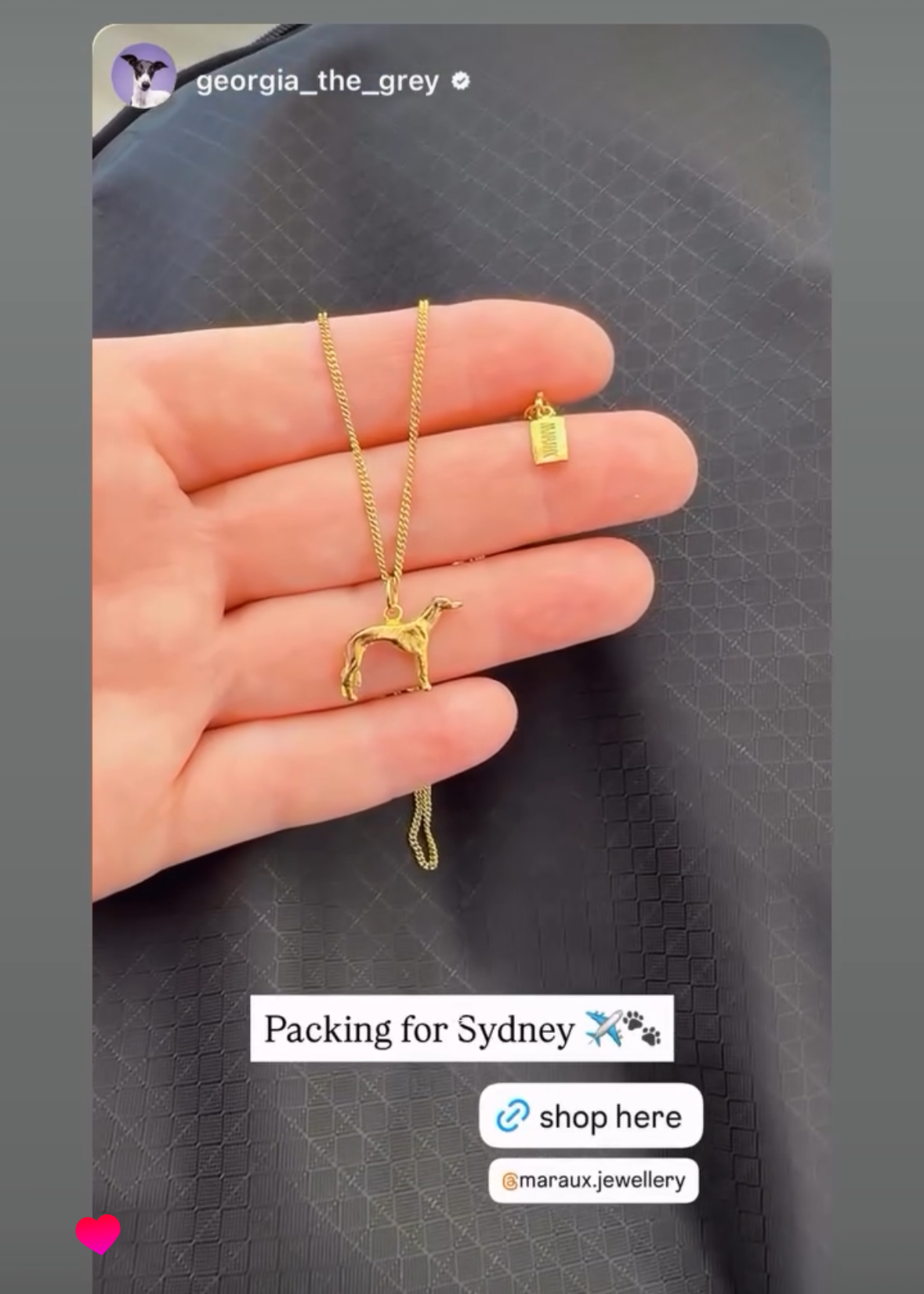 Greyhound Rescue Necklace - the Snoot Society ๐พ MarauxJewellery