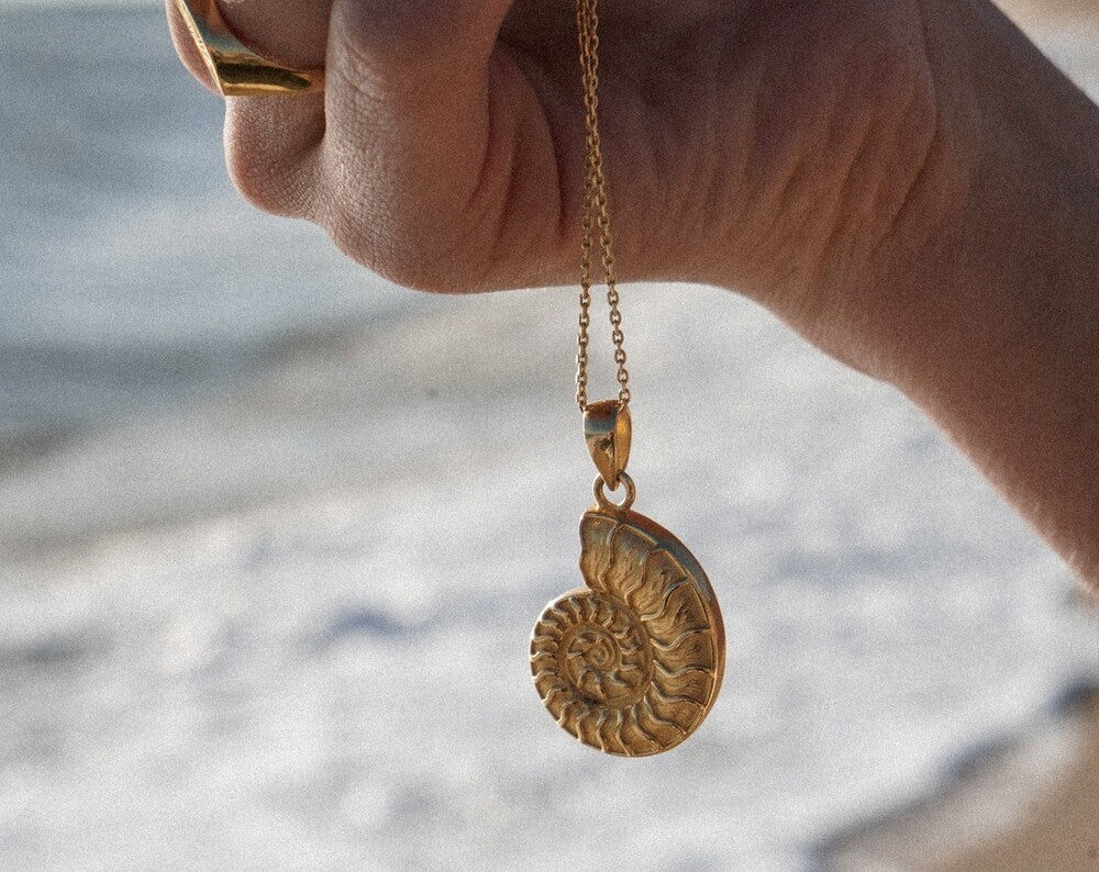 Maraux Premium Nautilus Shell Necklace