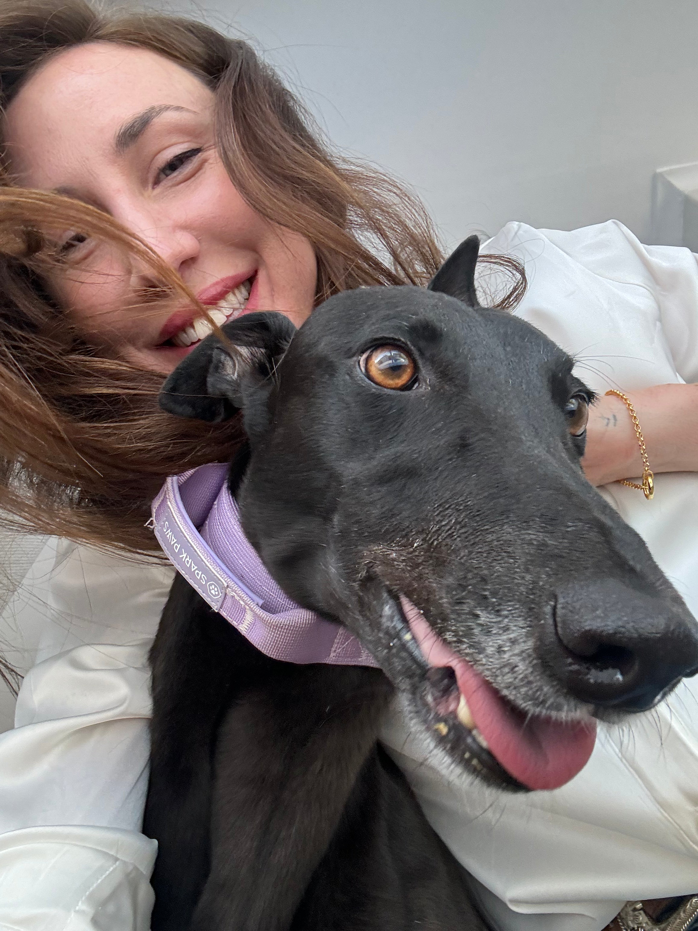 The Greyhound Necklace Every Greyhound Lover Needs: A Meaningful Gift That Gives Back MarauxJewellery