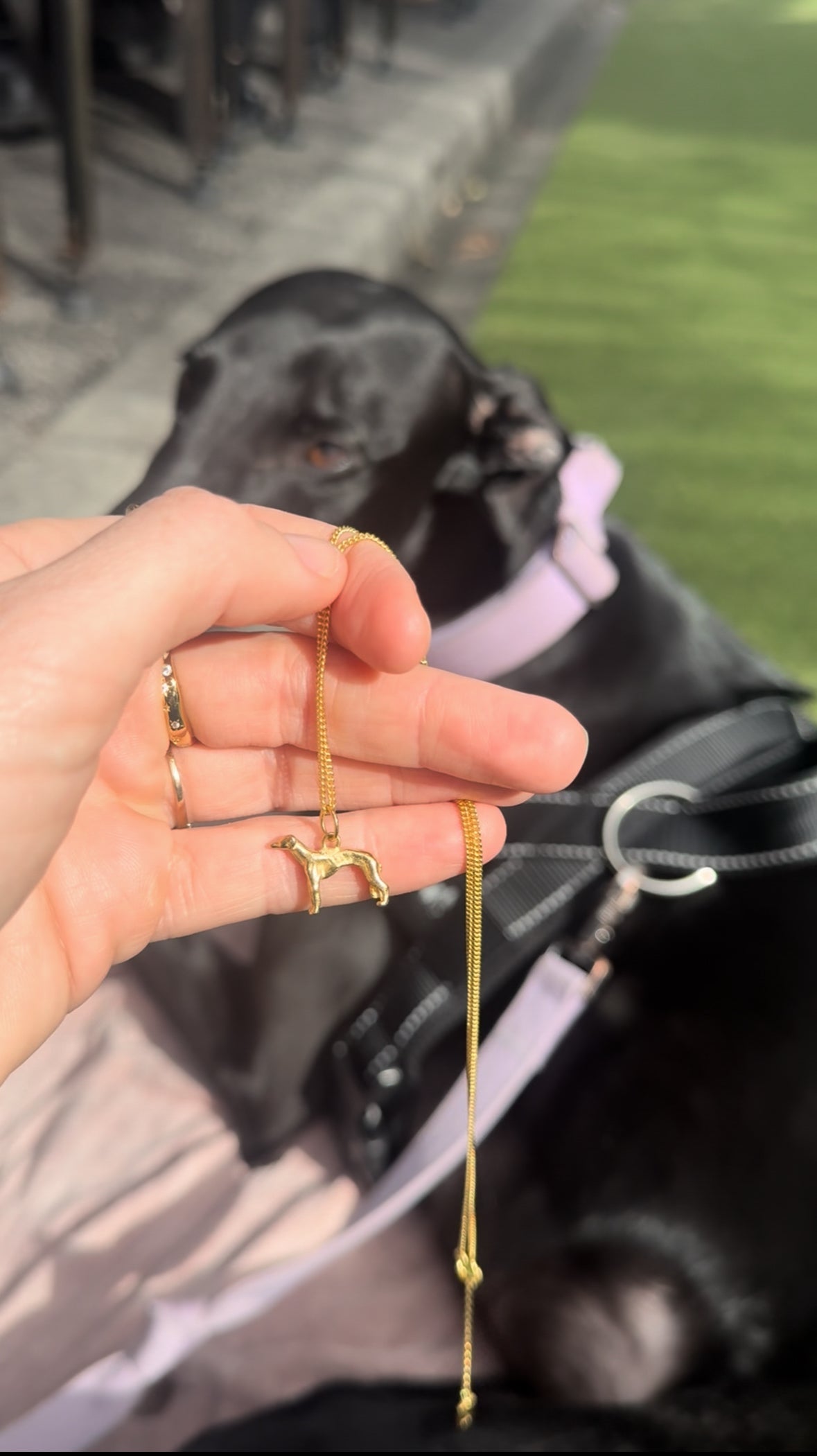 Greyhound Rescue Pendant with Curb Chain