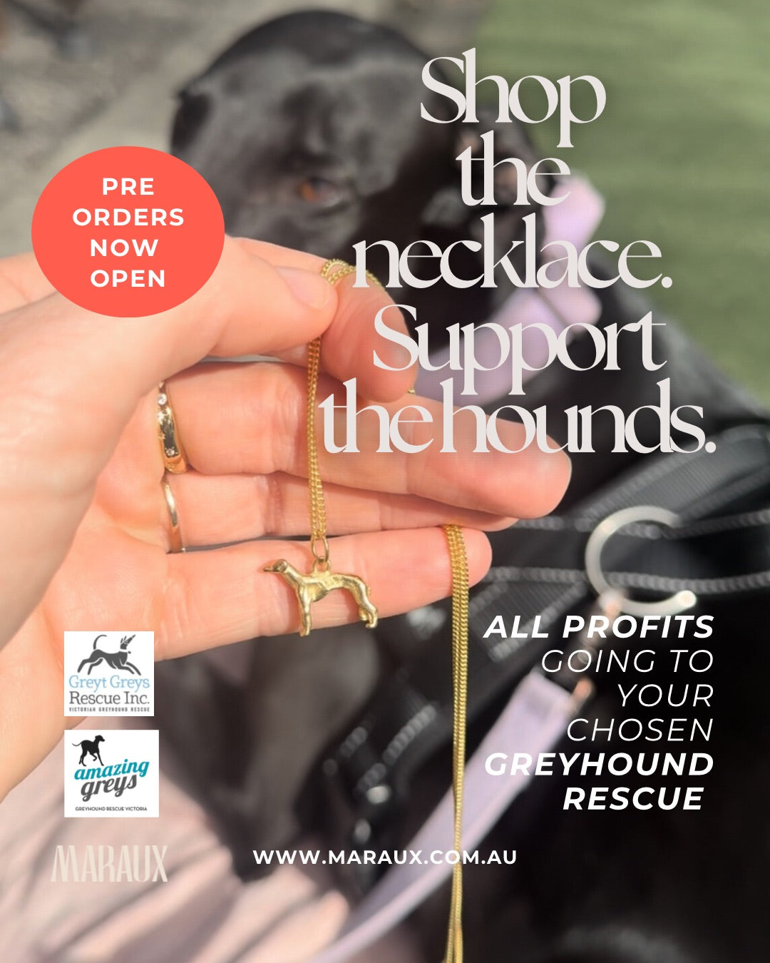 Greyhound Rescue Pendant with Curb Chain