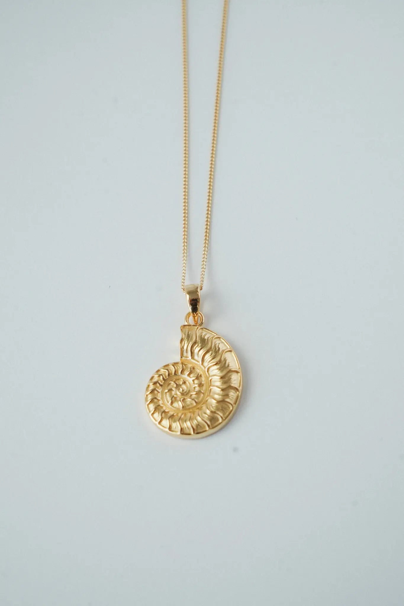 Maraux Premium Nautilus Shell Necklace MarauxJewellery