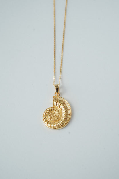 Maraux Premium Nautilus Shell Necklace