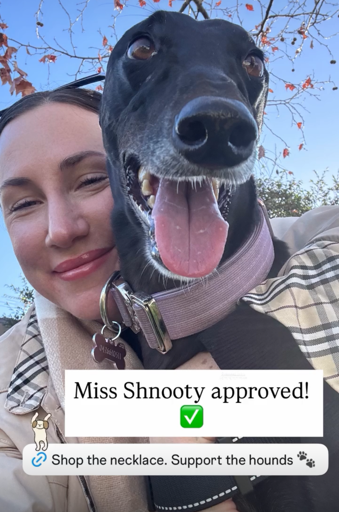 Greyhound Rescue Necklace -  the Snoot Society 🐾 MarauxJewellery